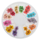 12 Colors Real Dry Nail Flower Art Decoration Manicure Nails DIY Stickers