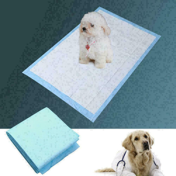 5pcs Pet Premium Training Pads 60x90cm For Pet Cats Dogs C3E2 I9O2 R3W2 Y4A1