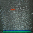 4 inch Length Green Air Stone Bubble Diffuser Bar for Aquarium Fish Tank 20 V7X5