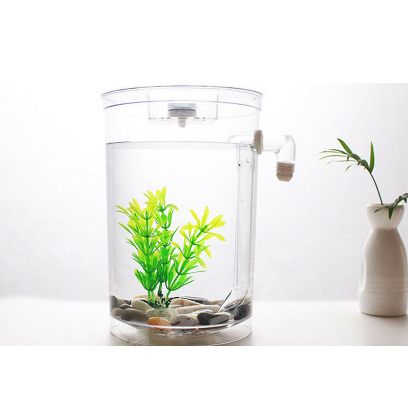 Basic Fish Bowl Plant Aquarium Fish Tank Home Decoration  White Round