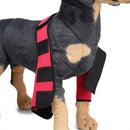 2PCS M & L Size Sprain Protection Straps Support Red Harness Knee Protector for