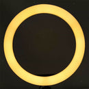 LED Ring Light, Dimmable Adjustable 3 Lights Color 10 Inch Temperature