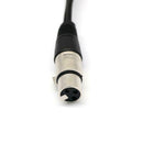 Female Connector XLR 3 Pin 6 "to 2 Male Plugs For Mic PA DJ Cable