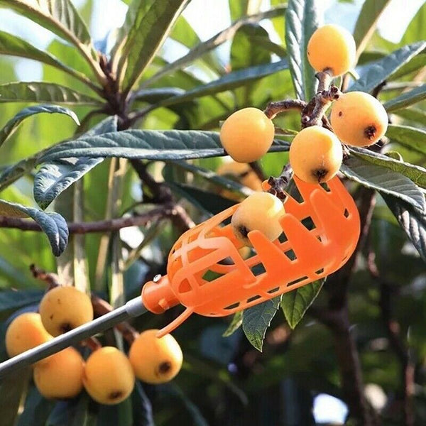 High Altitude Fruit Picker No pole 1Piece Plastic Picker without Pole Fruit