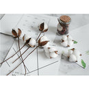 5Pc 12" Dried Flowers Natural Cotton Stems for Home Wedding Party Decoration