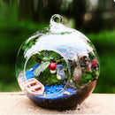 Hanging Glass Ball Vase Flower Plant Pot Stand Terrarium Containers Home  PDD