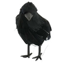 Lifesize 14cm Feathered Black Raven Crow Halloween Prop Decoration Fancy Dress