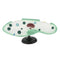 Paramecium Biological For Science Study Display Teaching  Education