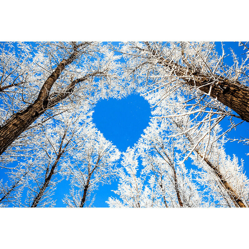 Paper Puzzles 1000pcs Heart Shape Tree Assemble for Adults Kids Jigsaw Toys