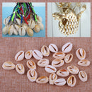 50x Small Natural Beach Sea Cowry Cowrie Shell fit for Jewelry Crafts Aquarium