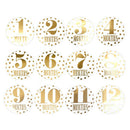 12pcs Newborn Baby Monthly Stickers Pregnant Milestone Memory Photo Props A