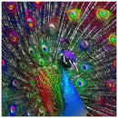 DIY Diamond Painting Cross Stitch Diamond Peacock Home Decor Full Rhineston