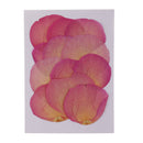 12pcs Real Pressed Dried Flower Rose Petals Scrapbooking Embellishments Pink