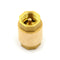 1/2'' NPT Brass Thread In-Line Spring Check Valve Backstop Valve RodCoreThread &