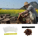 Queen Rearing Cupkit System Bee Beekeeping Catcher Cell Cups Box & Kit F3X7 O8U7