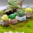 Moss Micro Landscape Ornaments Love Pot Plant Mix Size Fairy Garden Decor,Cra JR