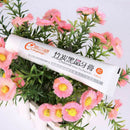 Bamboo Charcoal Black Toothpaste Teeth Whitening Cleaning Hygiene Oral Care B ME