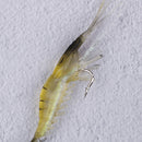 2Pcs soft lure 9cm/6g fishing artificial bait with glow hook swivels  Gw