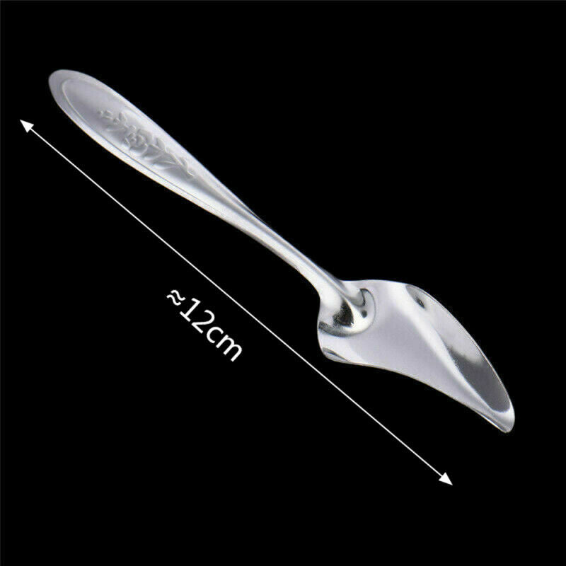 5pcs Small Bird Parrot Stainless Steel Feeding Spoon Special Feeding Scoop xcv