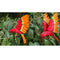 2pcs Artificial Feather Flying Bird Craft Taxidermy Home Art Decor Ornament