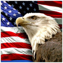 Eagle Diamond Painting 5D DIY Full Round Drill Cross Stitch Kits (QF453)