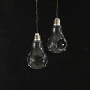 Glass Hanging Vase Planter Succulent Air Plant Pot Landscape Ornament 2-pot