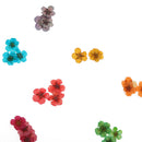 12 Colors Real Dry Nail Flower Art Decoration Manicure Nails DIY Stickers