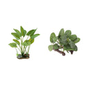 2Pieces Reptile Plants Aquarium Simulation Water