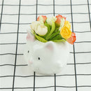 Cute Cat Pattern Ceramic Flower Pot  Succulents Cactus Plants Mini Pot PlanterME