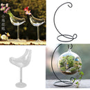 Iron Hanging Plant Stand Glass Flower Plant Vase Stand Terrarium Container