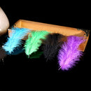 50pcs/set turkey feathers 10-15cm chicken plumes for carnival diy craft decor OZ