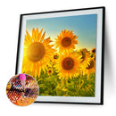 Flower 5D Diamond Painting Full Round Drill DIY Rhinestone Picture (LG534)
