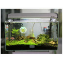 65w Anti-explosion Aquarium Heater Submersible Fish Tank LCD Heater Thermometer