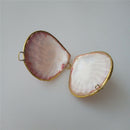 Seashell Trinket Box Holder Organizer Display Jewelry