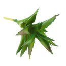 Lifelike Artificial Succulent Home Office DIY Unpotted Faux Foliage Plant