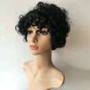 Synthetic Curly Hair Wig Female Short Hair Human Hair Wig Black Natural Vol