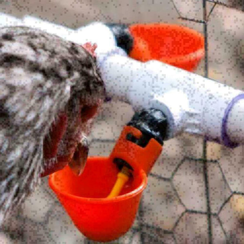 Chicken Drinking Cups Quail Water Bowls Bird Plastic Animal Cage Feeder 1pc S5O4