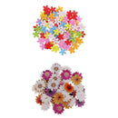150x Daisy Flower Wood Decorative Buttons Scrapbooking Embellishment 15 25mm