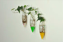 Ice cone & Icicle Set Hanging Glass Flower Planter Vase Terrarium Container