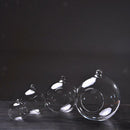 12cm Hanging Flower Plant Garden Vase Bottle Hydroponic Terrarium Container