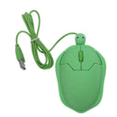 1000dpi Cute Cartoon Anime Fashion Turtle PC Laptop Optical USB Mouse, Gree U2S5