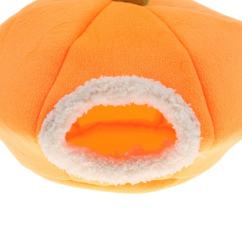 Nest Box For Small Animals In The Shape Of A Pumpkin For A Guinea Pig Bed