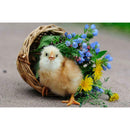 5D DIY Full Drill Diamond Painting Chicken Cross Stitch Embroidery Mosaic
