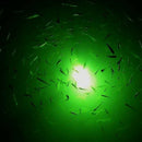 12V UV Fishing Night Finder Submersible Fish Lamp Light Underwater High Quality