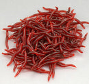 100 Pcs Soft Red Earthworm Fishing Bait Worm Lures Crankbaits Hooks Tackle Baits