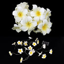 Creative Frangipani LED String Lights AA Battery Floral Holiday Lighting Gw