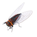 Summer Insect Statue Tree Lawn Ornament DIY Animal Sculpture Decor Cicada