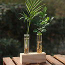 Crystal Glass Test Tube Vase Flowers Plants hydroponic Planter+ Wooden Stan O4Q7
