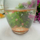 1pc Shrimp Eggs Fodderrtemia Ocean Nutrition Fish Food Feeding