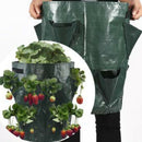 2Pcs Potato Strawberry Planter Bags for Growing Potatoes Outdoor Vertical G